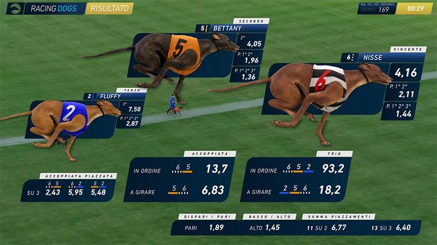 Carreras de Perros DSVG